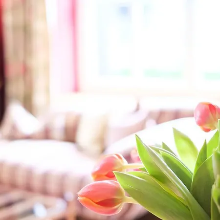Am Stein Guest house 4*